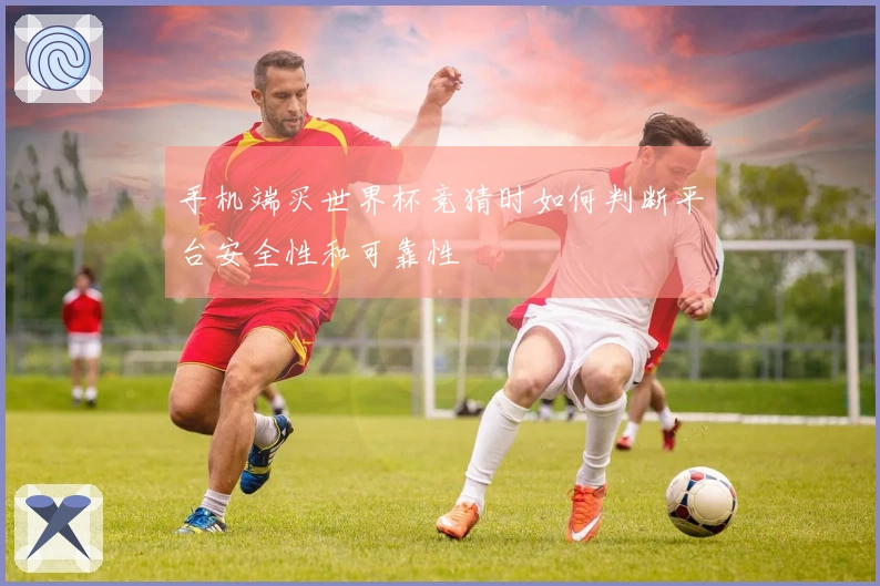 手机端买世界杯竞猜时如何判断平台安全性和可靠性