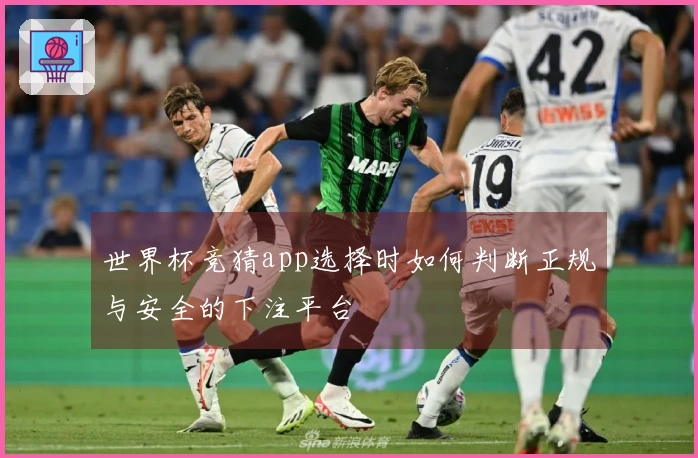 世界杯竞猜app选择时如何判断正规与安全的下注平台