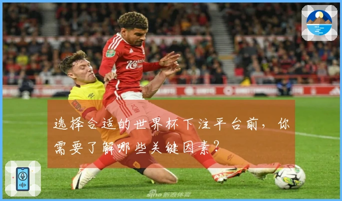选择合适的世界杯下注平台前，你需要了解哪些关键因素？