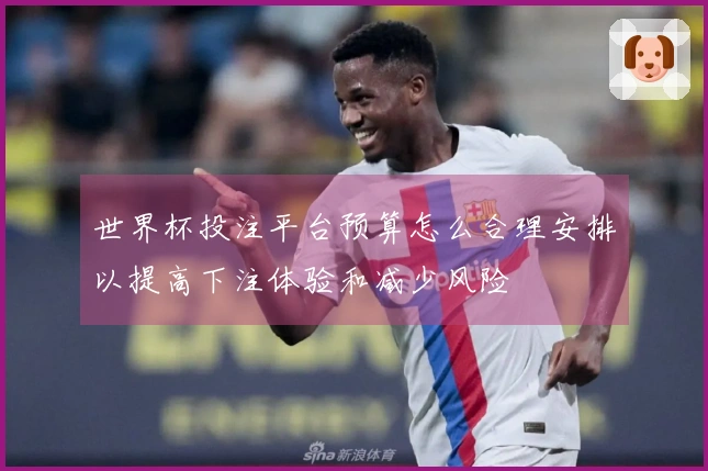世界杯投注平台预算怎么合理安排以提高下注体验和减少风险