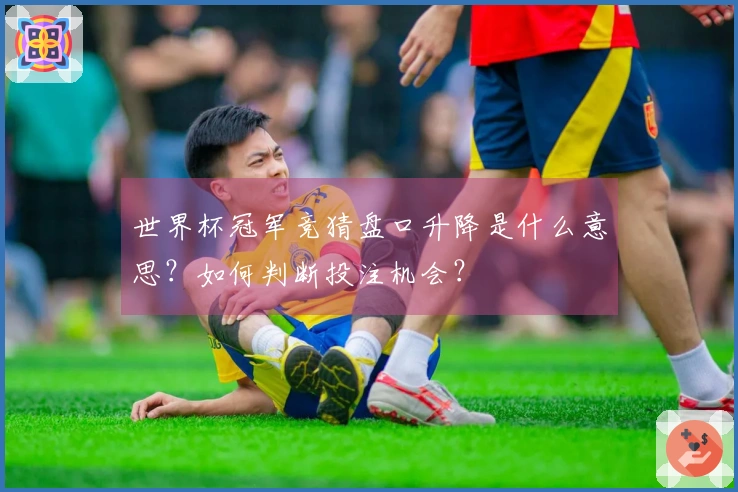 世界杯冠军竞猜盘口升降是什么意思？如何判断投注机会？