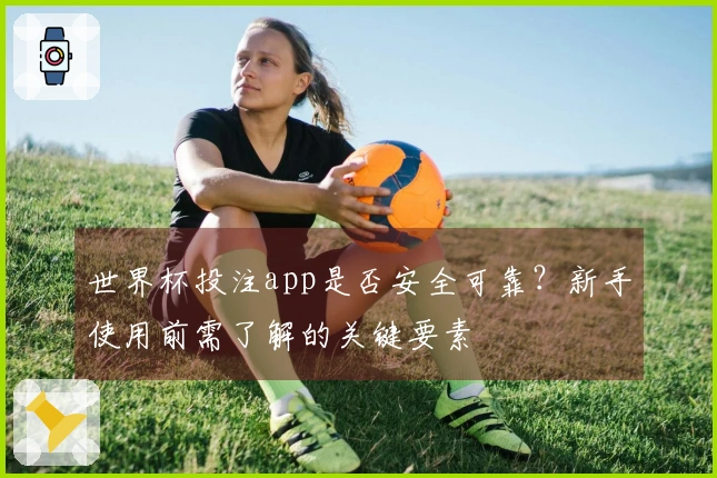 世界杯投注app是否安全可靠？新手使用前需了解的关键要素