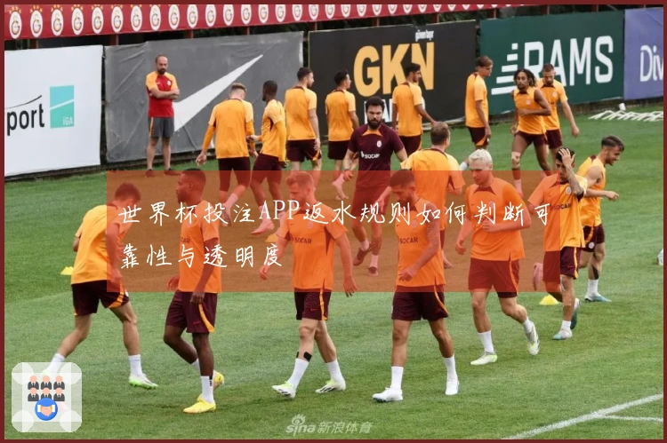 世界杯投注APP返水规则如何判断可靠性与透明度