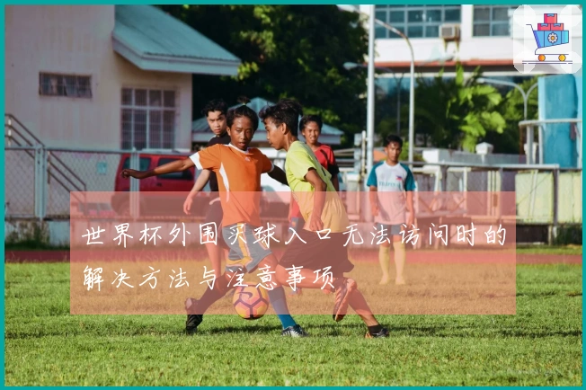 世界杯外围买球入口无法访问时的解决方法与注意事项