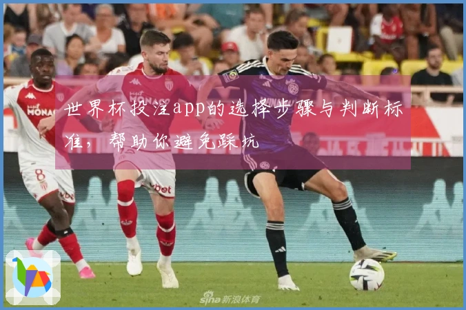 世界杯投注app的选择步骤与判断标准，帮助你避免踩坑