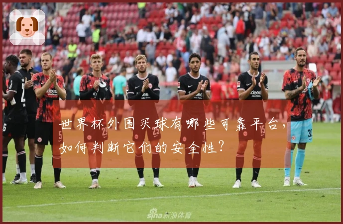 世界杯外围买球有哪些可靠平台，如何判断它们的安全性？