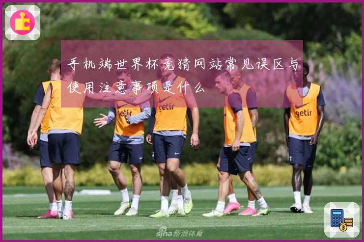 手机端世界杯竞猜网站常见误区与使用注意事项是什么