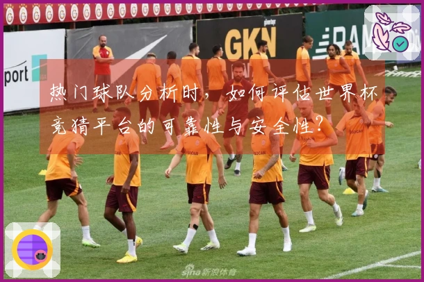 热门球队分析时，如何评估世界杯竞猜平台的可靠性与安全性？