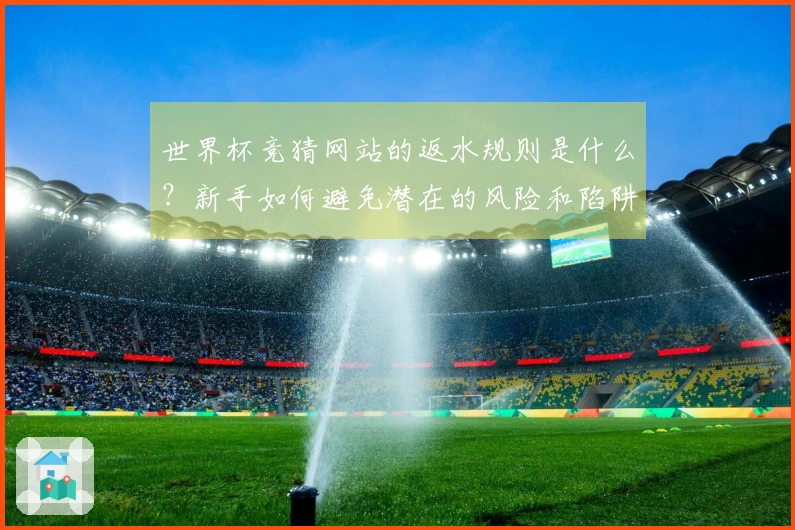 世界杯竞猜网站的返水规则是什么？新手如何避免潜在的风险和陷阱