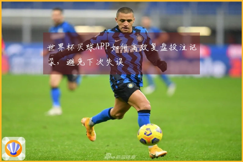 世界杯买球APP如何高效复盘投注记录，避免下次失误