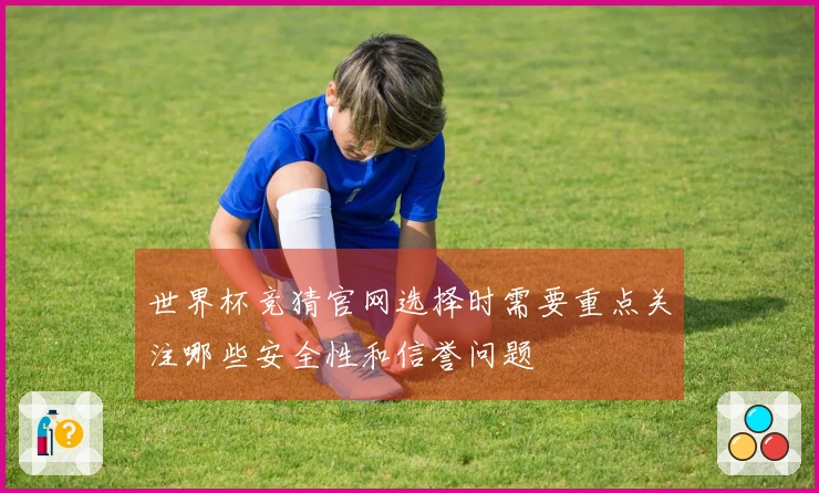 世界杯竞猜官网选择时需要重点关注哪些安全性和信誉问题