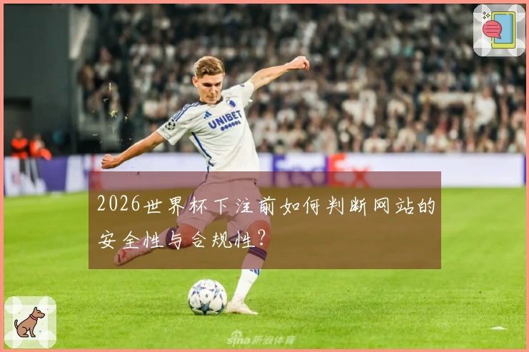 2026世界杯下注前如何判断网站的安全性与合规性？