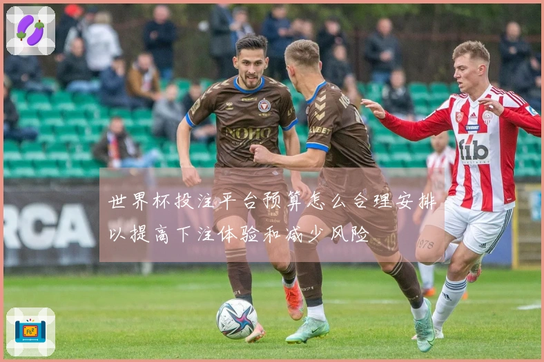 世界杯投注平台预算怎么合理安排以提高下注体验和减少风险