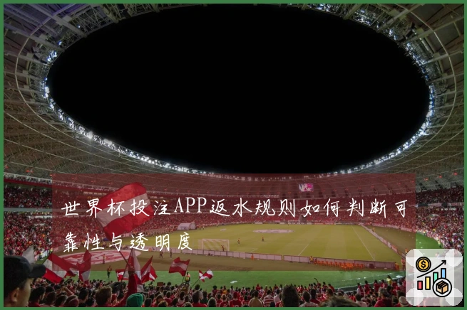 世界杯投注APP返水规则如何判断可靠性与透明度