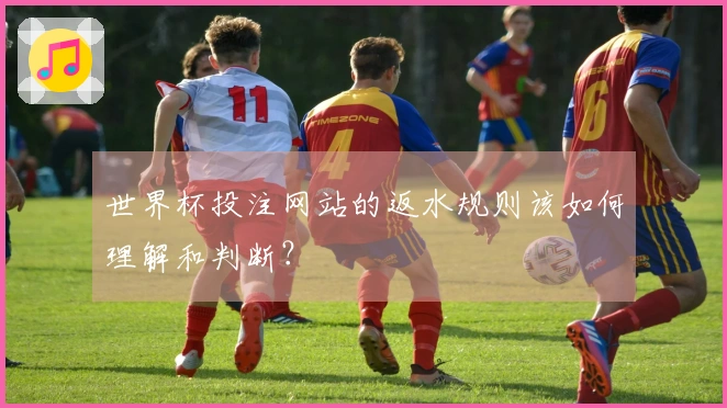 世界杯投注网站的返水规则该如何理解和判断？