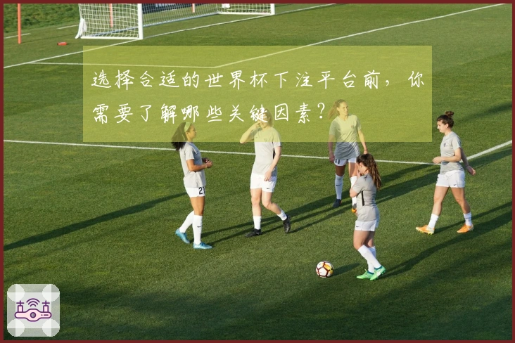选择合适的世界杯下注平台前，你需要了解哪些关键因素？