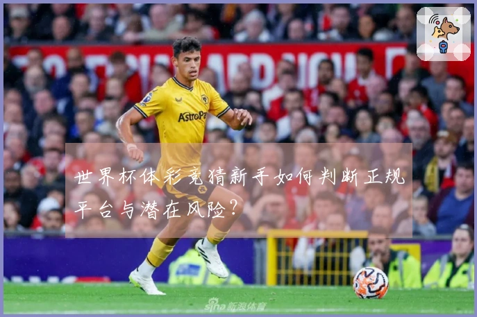 世界杯体彩竞猜新手如何判断正规平台与潜在风险？