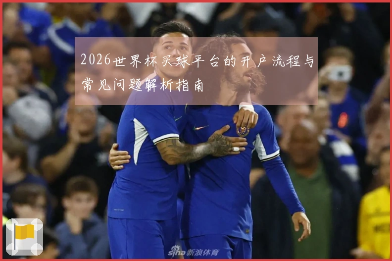 2026世界杯买球平台的开户流程与常见问题解析指南