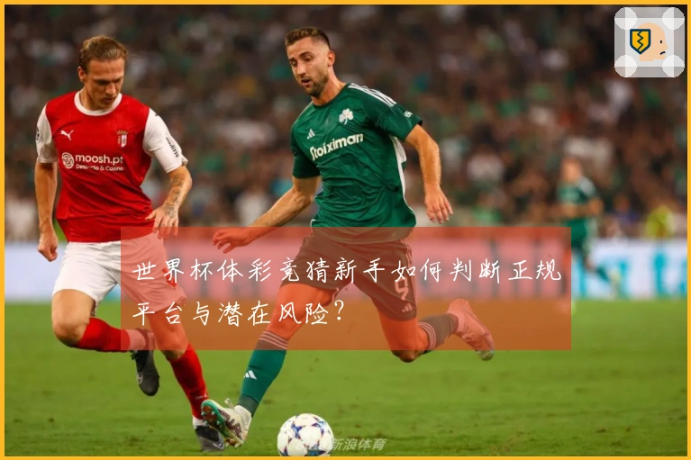 世界杯体彩竞猜新手如何判断正规平台与潜在风险？