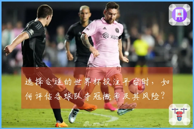 选择合适的世界杯投注平台时，如何评估各球队夺冠概率及其风险？