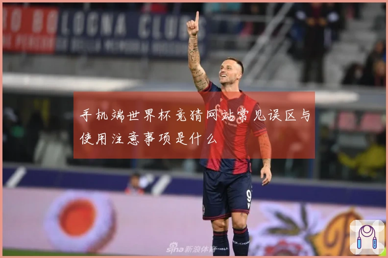手机端世界杯竞猜网站常见误区与使用注意事项是什么