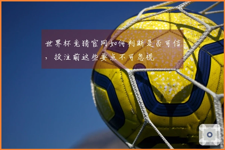 世界杯竞猜官网如何判断是否可信，投注前这些要点不可忽视