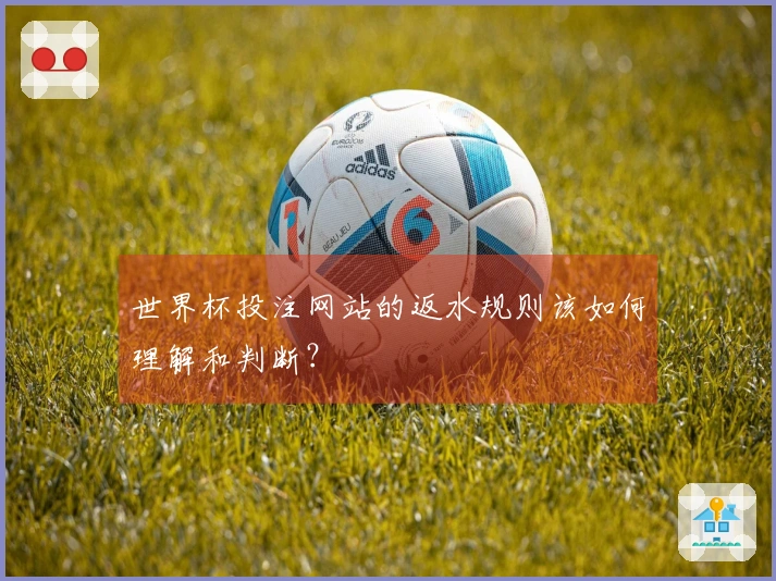 世界杯投注网站的返水规则该如何理解和判断？