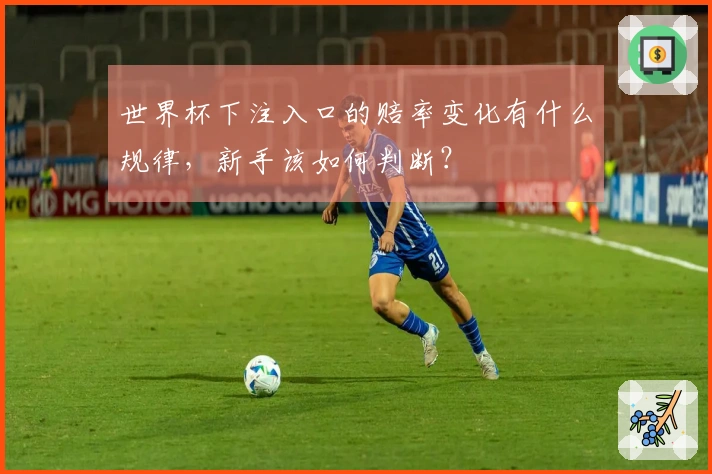 世界杯下注入口的赔率变化有什么规律，新手该如何判断？