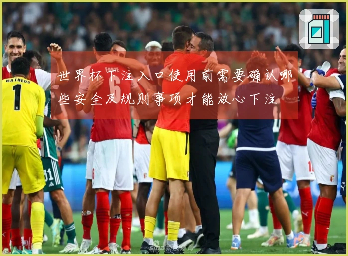 世界杯下注入口使用前需要确认哪些安全及规则事项才能放心下注