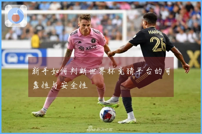 新手如何判断世界杯竞猜平台的可靠性与安全性