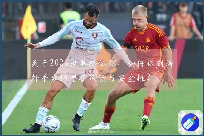 关于2026世界杯体彩，如何识别海外平台的潜在风险与安全性？