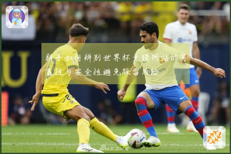 新手如何辨别世界杯竞猜网站的可靠性与安全性避免踩雷风险