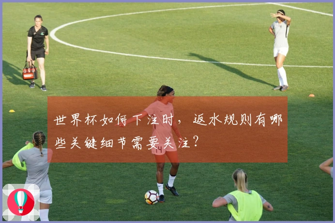 世界杯如何下注时，返水规则有哪些关键细节需要关注？